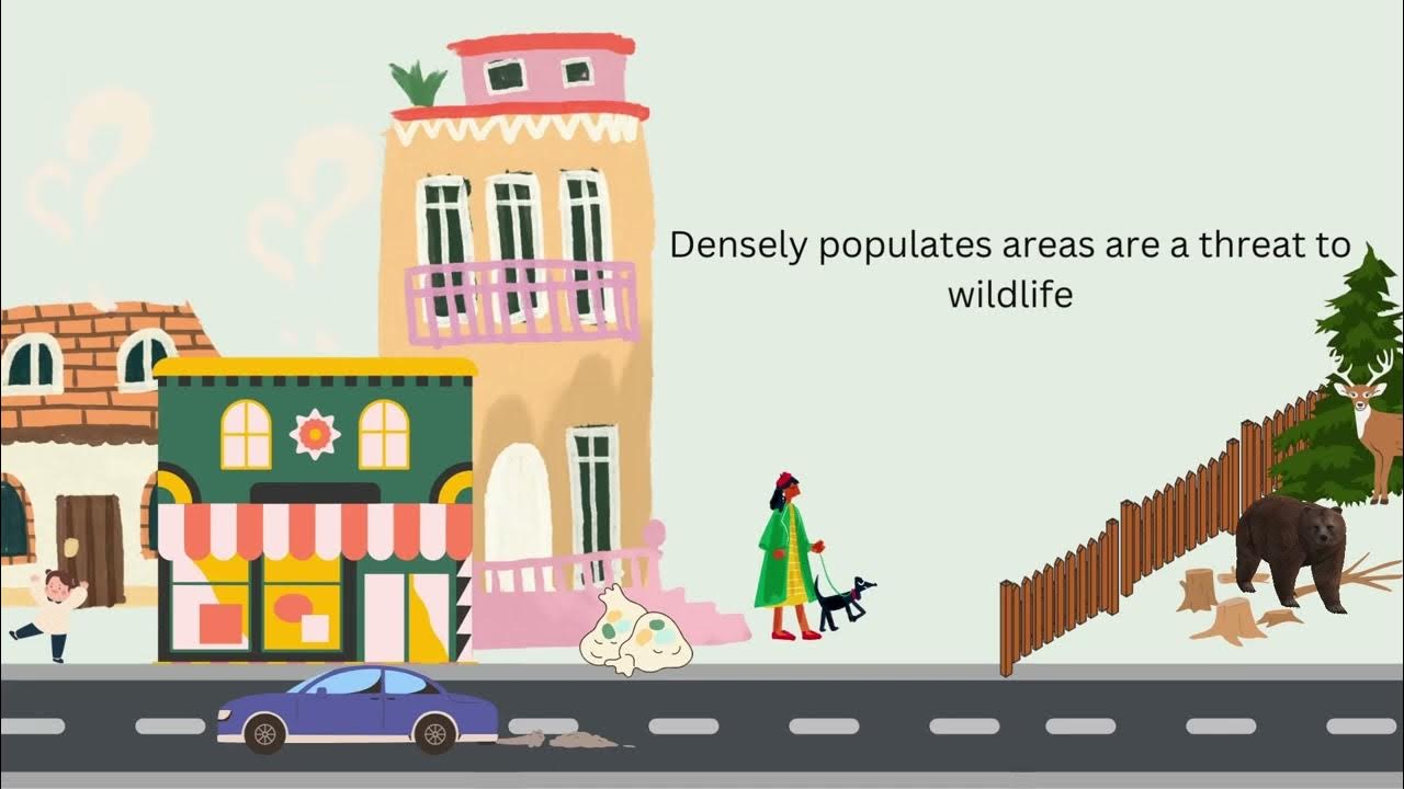 effects-of-urbanization-on-wildlife-youtube