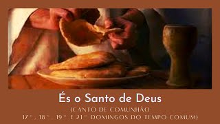 Vídeo de ÉS O SANTO DE DEUS (17º, 18º, 19º e 21º Domingo - Ano B)