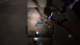 Biker Finds Turtle in Tunel !😱