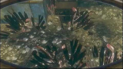 Bioshock 2 glitches (B2) Glitches - Cash Register Jump Preview.wmv