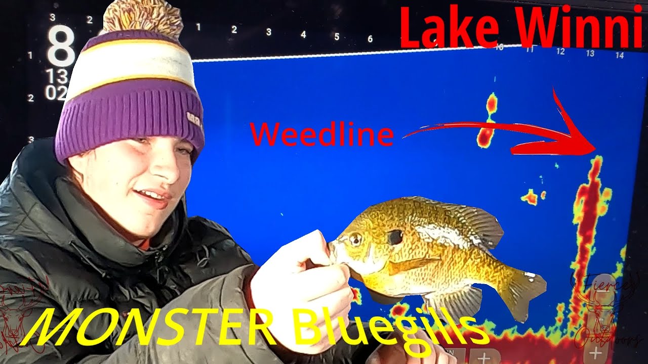 Ice Fishing Lake Winnibigoshish in EXTREME COLD (20F) MONSTER Weed