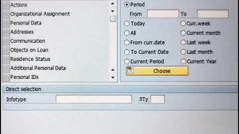 Display HR MASTER DATA IN SAP HCM #saphr #hr #employees #saphcm