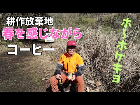 Abandoned farmland | Enjoy canned coffee while feeling the spring