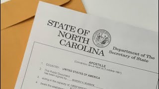 Thinking About Becoming an Apostille Facilitator? My Experience Processing Hundreds of Apostilles