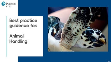 BTEC Bitesize- Examples of Good Handling- BTEC Tech Award (2022) Animal Care