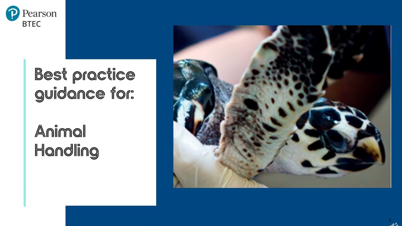 BTEC Bitesize- Examples of Good Handling- BTEC Tech Award (2022) Animal Care