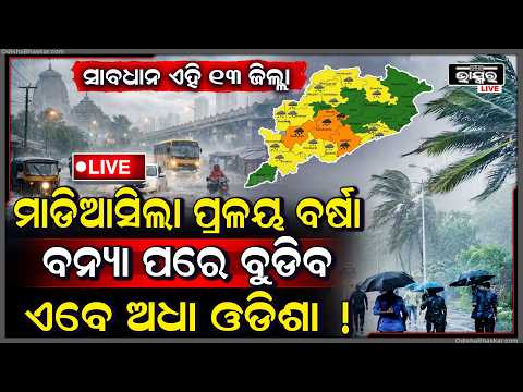 🔴Live : କାଚୁଚି ତୁହାକୁ ତୁହା ବର୍ଷା,ଆହୁରି ୩ ଦିନ ପ୍ରବଳ ବର୍ଷା, ବୁଡିବ ଅଧା ଓଡିଶା I