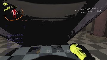 my first encounter with the nutcracker