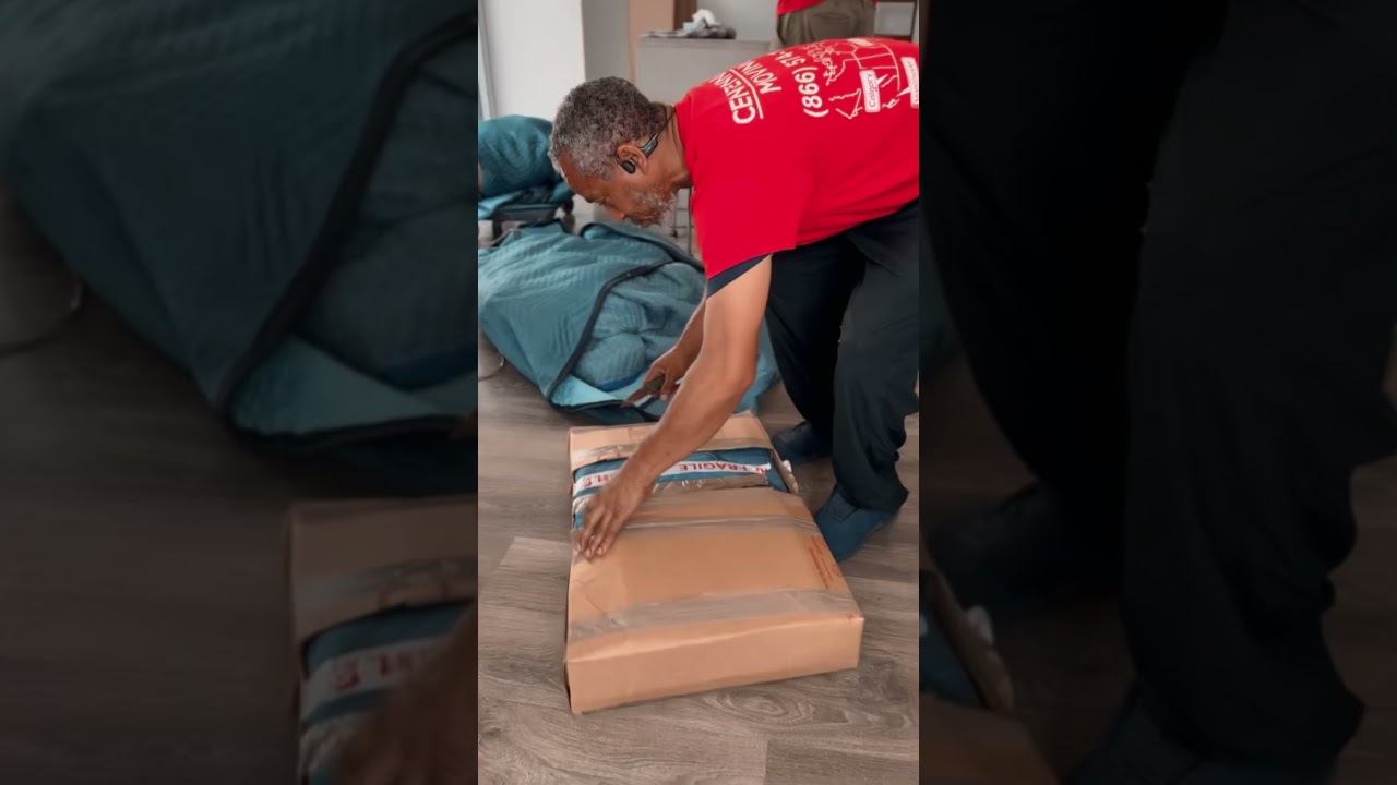 This team doesn't damage anything 😮‍💨 