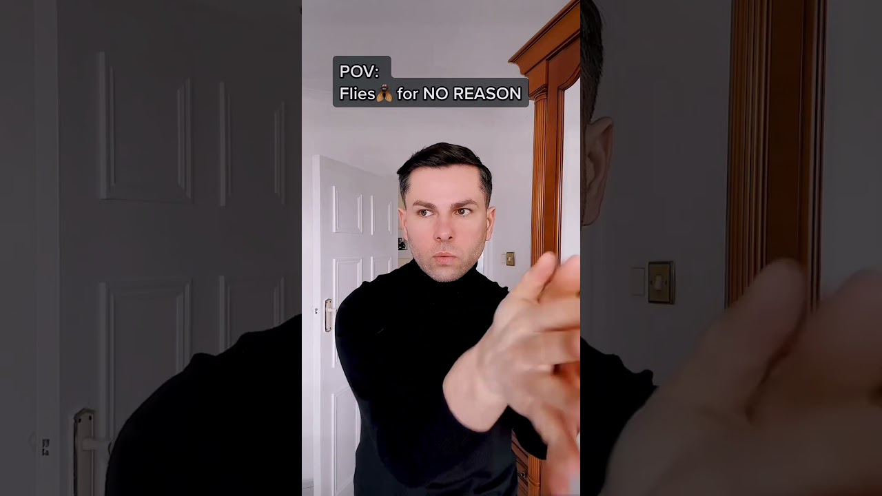 Flies be Like: 🪰🙄  