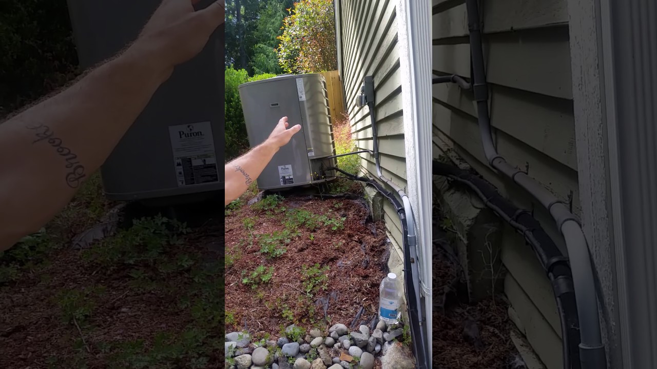 Karyn and Flex's House