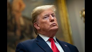 Trump gets SHUT DOWN by Danish politician