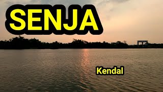 SENJA - Kendal