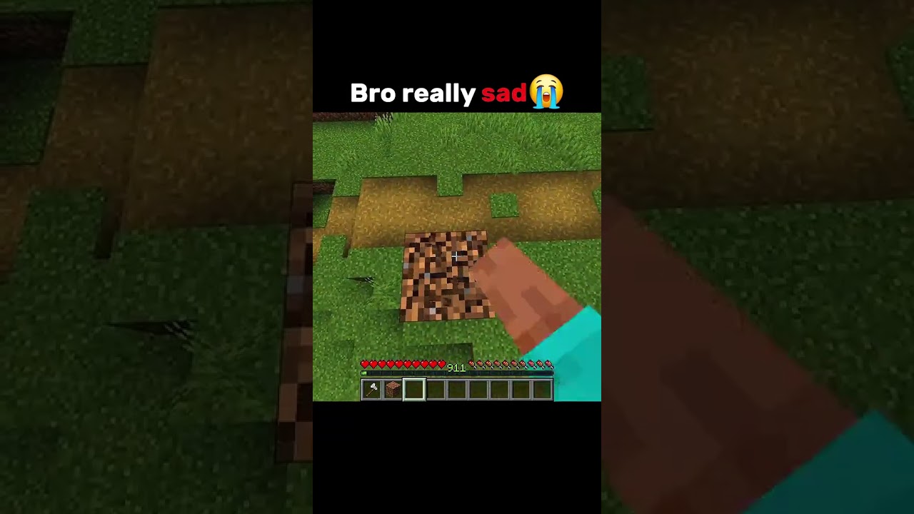 Bro really lost his best friend 🥺 #minecraft #shorts @gamingarcher0
