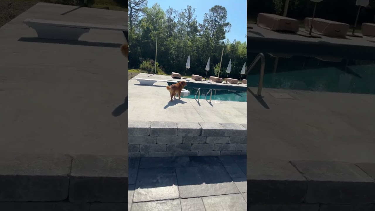 If you use this audio, i’ll comment on your video 