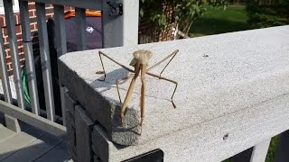 New Epic Fails Amazing Funny Prank Compilation Troll Videos- Funny Accident Part 6