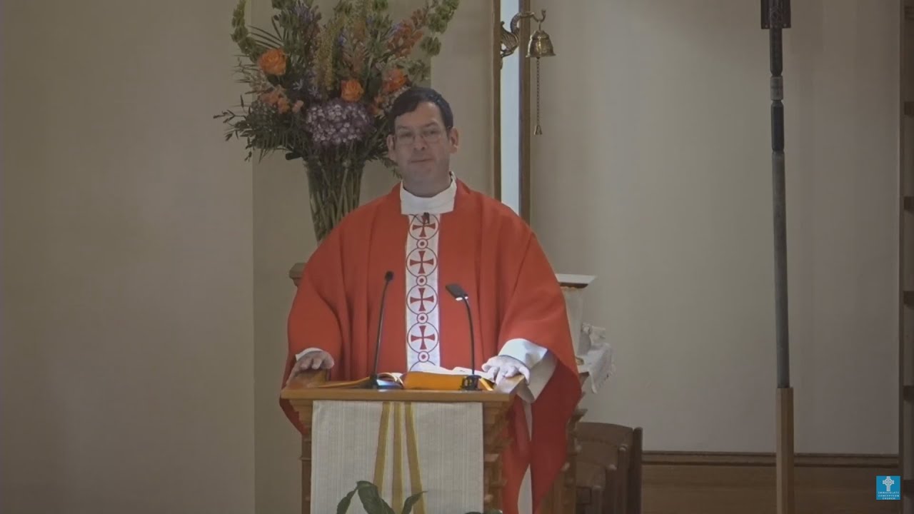It's not about us. Rev. Tom Pers, Solemnity of Saints Peter and Paul, Apostles, Vigil Mass