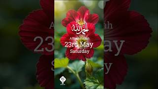 23rd May #saturday #day #date #23rd #may #status #shorts #video #viral #flowers #new #peace#trending