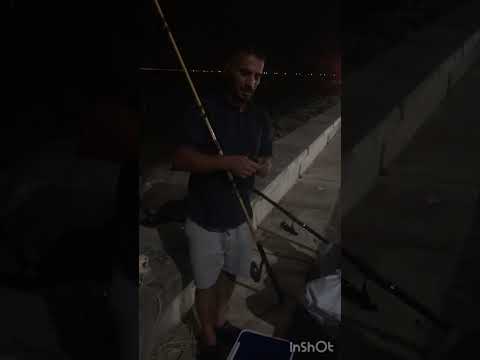 حداق سوق شرق الكويت صيد شعم والنعم