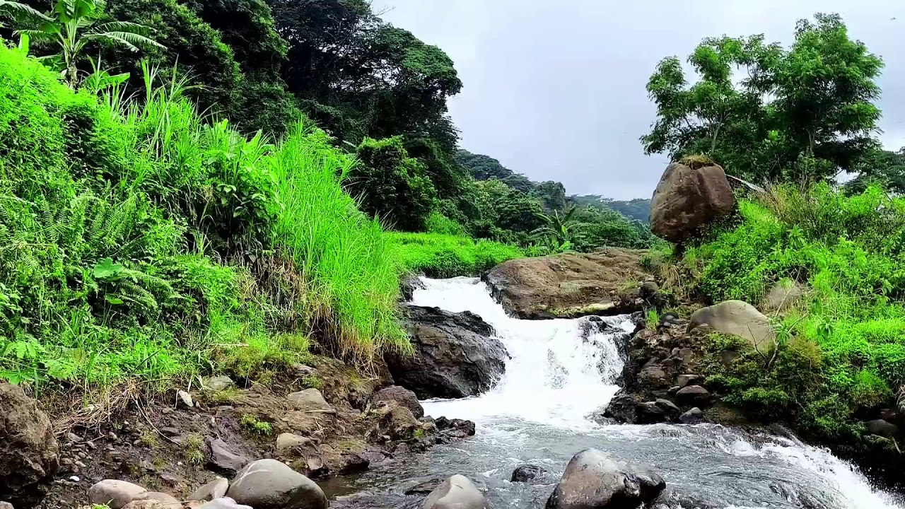 🌧️ Rain & River Sounds for Deep Sleep | Calm Nature Ambience | QALMEVA LIVE 24/7