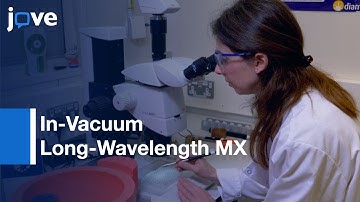 In-Vacuum Long-Wavelength MX on Beamline I23 at Diamond Light Source | Protocol Preview