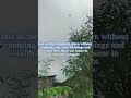 pure heavy rain and thunder on zinc roof for deep focus and meditation to erase all your burden