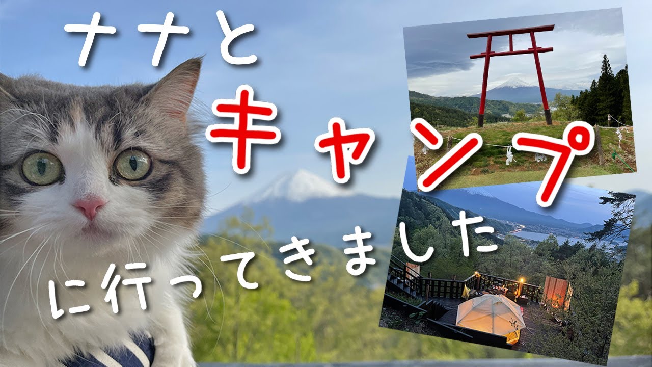 ナナとキャンプに行ってきました