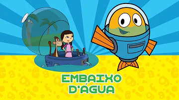 Em que tipo de ambiente podemos encontrar as esponjas?