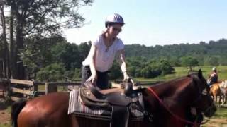 Marriott Ranch