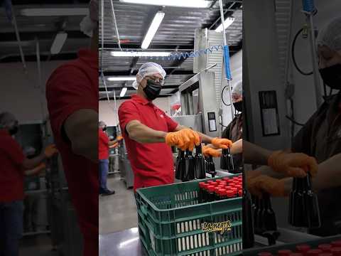 El mejor equipo  empresa salsalanegra comedia