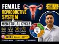 Human Reproduction: Menstrual Cycle Explained Step-by-Step |HR SIR| PrepX |