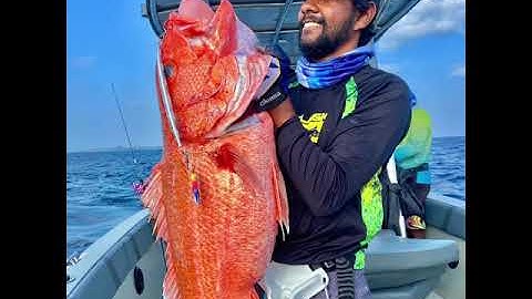 Ruby snapper on deep jigging!. 🤩