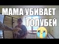 МАМА УБИВАЕТ ГОЛУБЕЙ