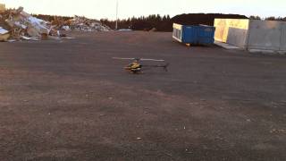 First test hovers with my Trex 700 gasser