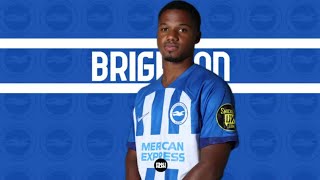 Ansu Fati Brighton Debut Highlights