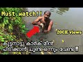 വെള്ളത്തിൽ മുങ്ങി ഒരു മീൻപിടുത്തം | Kerala fishing "Traditional" method | Fishing @God's own country