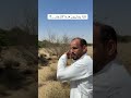 لماذا يحاربون هذه الأشجار لماذا يحاربون هذه الأشجار