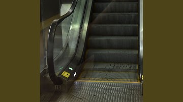 Pulsating Relaxing Elevator Rides
