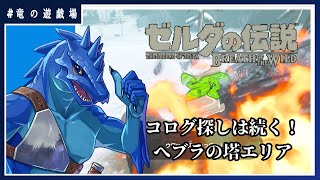 #8【ゼルダの伝説・breath of wild】コログ探しは続く！へブラの塔エリア【竜の遊技場】