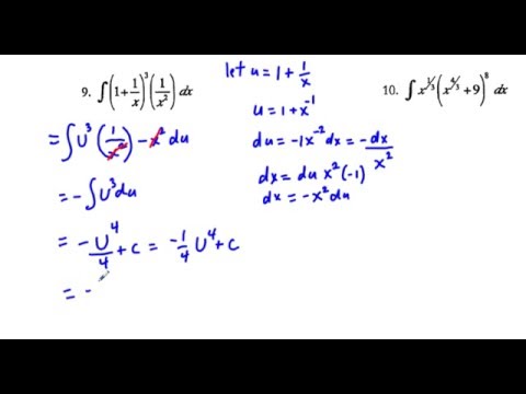 basketball essays scandia golf and