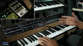 Prophet 5 with Universal Audio Golden Reverberator - UAFX Reverb Pedal