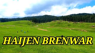 Haijen Brenwar Haijen Meadow