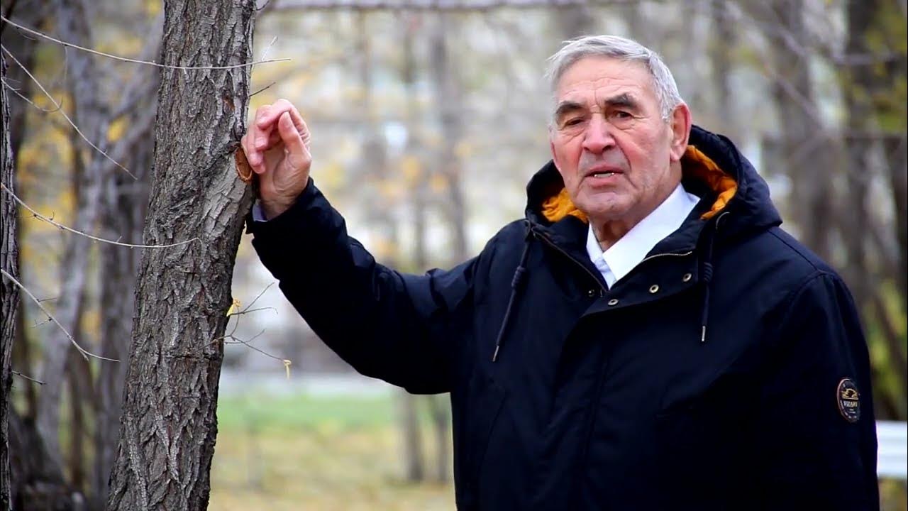 Владимир евтодеев биография личная жизнь