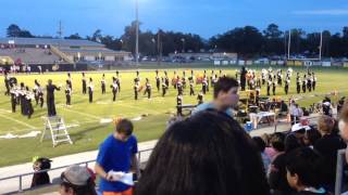 LHS Homecoming 2014 Band