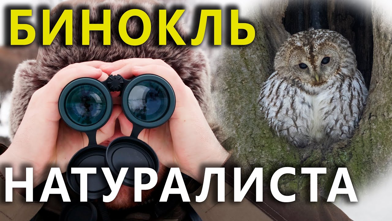 самый мощный бинокль