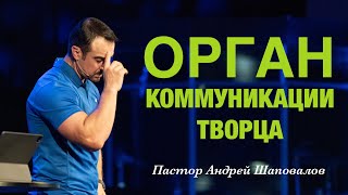 «Орган коммуникации Творца» Пастор Андрей Шаповалов