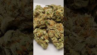 Tangerine 🍊 Cannabis strain review/W Dr. Greenbody