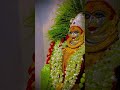 💫✨काय रंगलंय आंबा च होट ग🌺🙏❤️........🌺🌎🙇🙏❤️❤️🙏