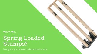 spring loaded cricket stumps