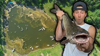 I Saved 10,000 Fish From Suffocating In A Toxic Pond